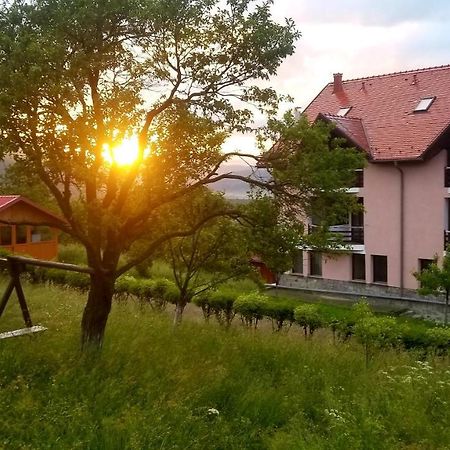 Hotel Sofia Bran  Zewnętrze zdjęcie