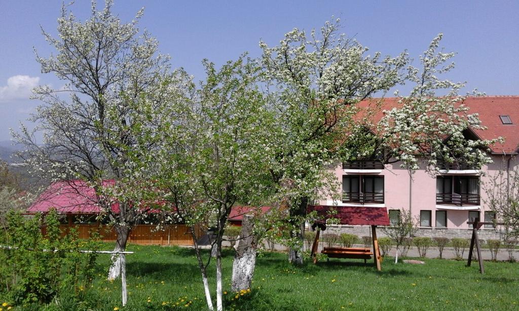 Hotel Sofia Bran  Zewnętrze zdjęcie