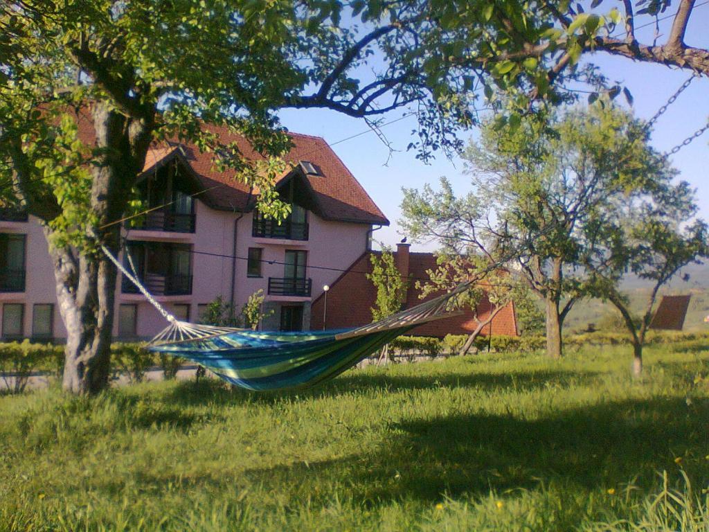 Hotel Sofia Bran  Zewnętrze zdjęcie