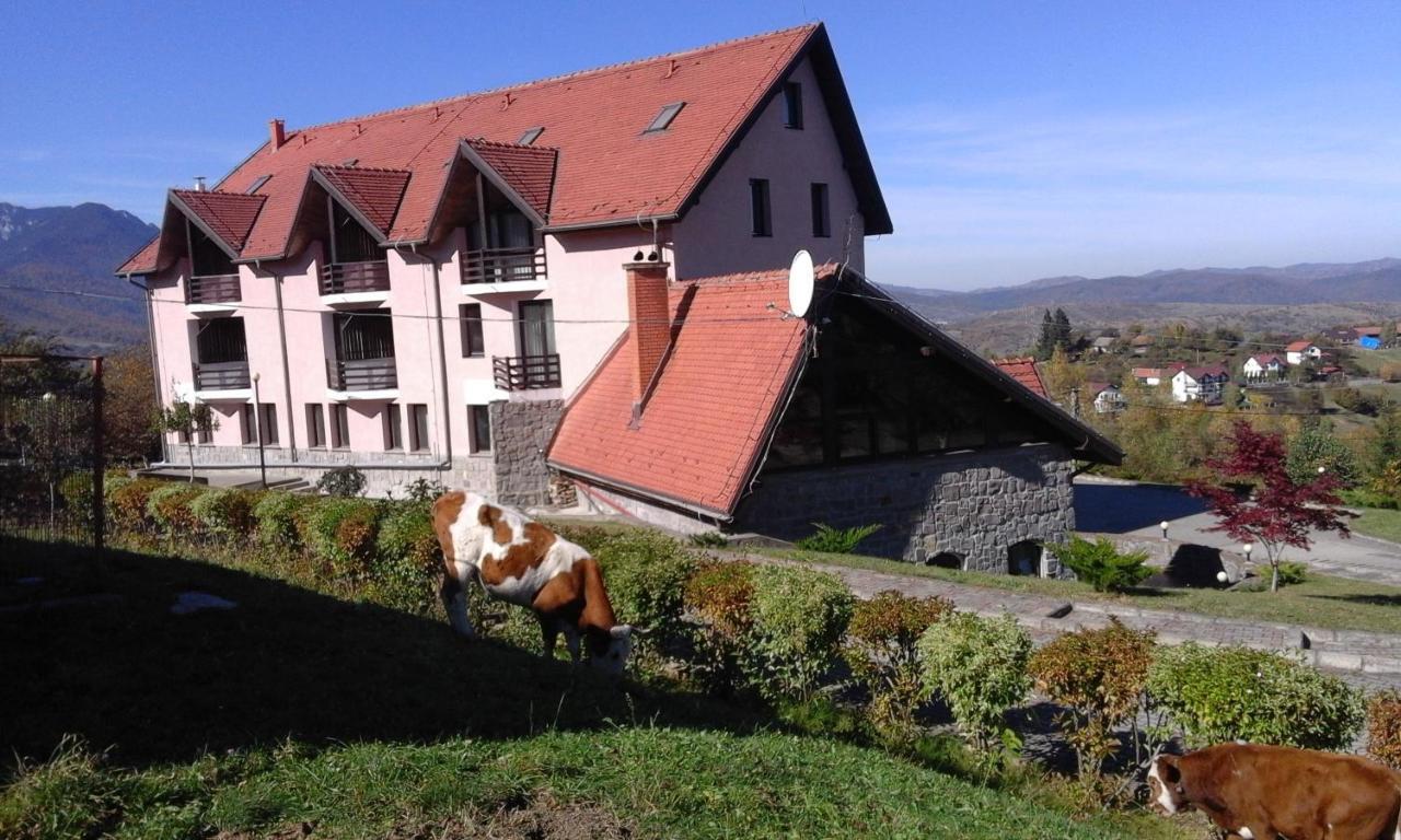 Hotel Sofia Bran  Zewnętrze zdjęcie